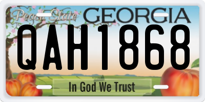 GA license plate QAH1868