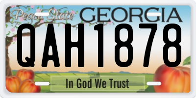 GA license plate QAH1878