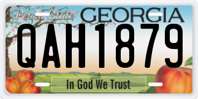 GA license plate QAH1879