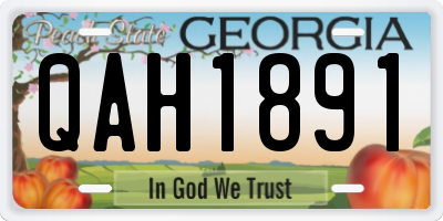 GA license plate QAH1891