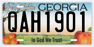 GA license plate QAH1901