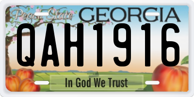 GA license plate QAH1916