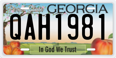GA license plate QAH1981