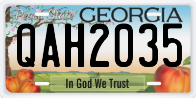 GA license plate QAH2035