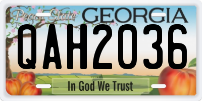 GA license plate QAH2036