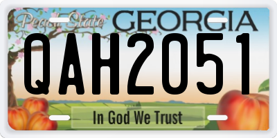 GA license plate QAH2051