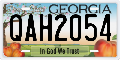 GA license plate QAH2054