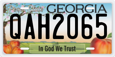 GA license plate QAH2065