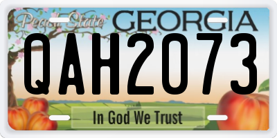 GA license plate QAH2073