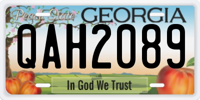 GA license plate QAH2089