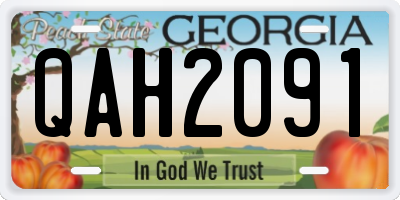 GA license plate QAH2091
