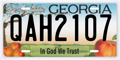 GA license plate QAH2107