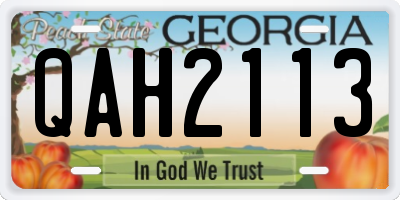 GA license plate QAH2113
