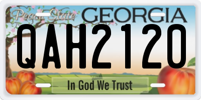 GA license plate QAH2120
