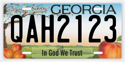 GA license plate QAH2123