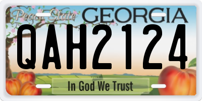 GA license plate QAH2124