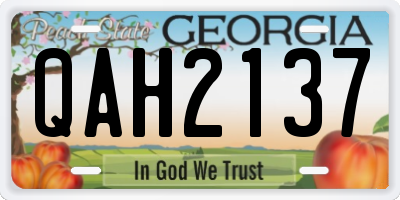 GA license plate QAH2137
