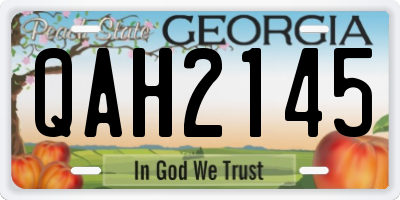 GA license plate QAH2145