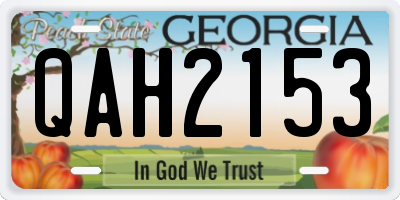 GA license plate QAH2153