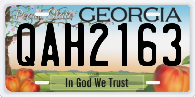 GA license plate QAH2163