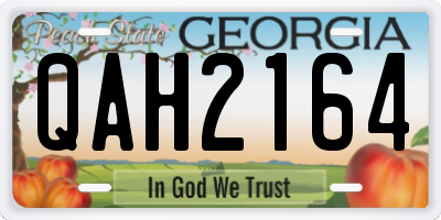 GA license plate QAH2164