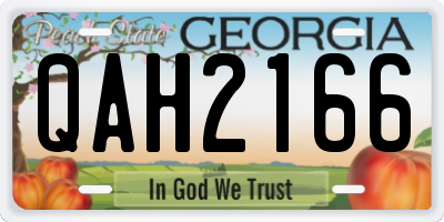 GA license plate QAH2166