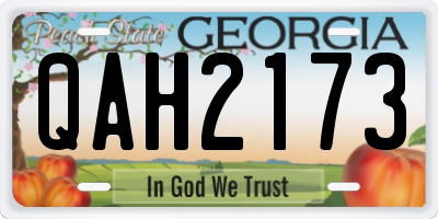 GA license plate QAH2173