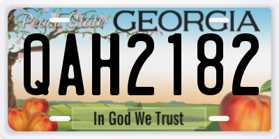 GA license plate QAH2182