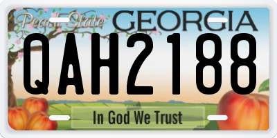 GA license plate QAH2188
