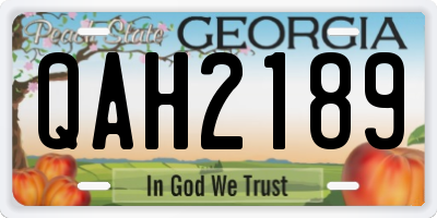 GA license plate QAH2189