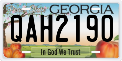 GA license plate QAH2190