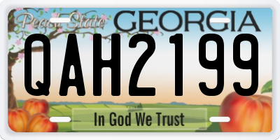 GA license plate QAH2199