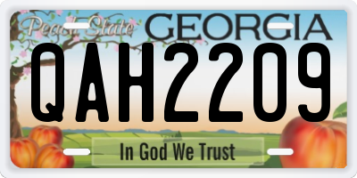 GA license plate QAH2209