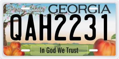GA license plate QAH2231