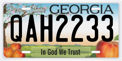 GA license plate QAH2233