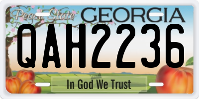 GA license plate QAH2236
