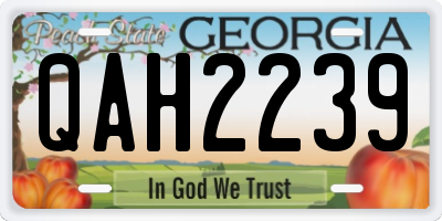 GA license plate QAH2239