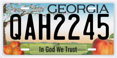 GA license plate QAH2245