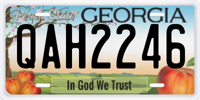 GA license plate QAH2246