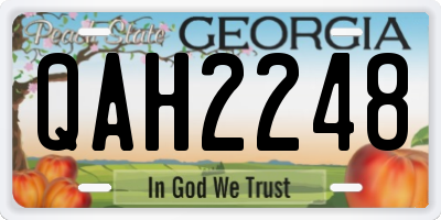 GA license plate QAH2248