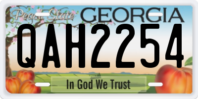 GA license plate QAH2254