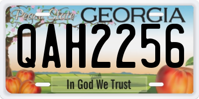 GA license plate QAH2256