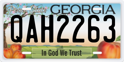 GA license plate QAH2263