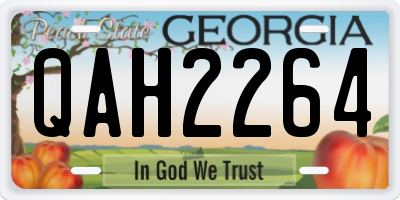 GA license plate QAH2264