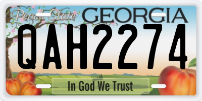 GA license plate QAH2274