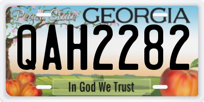 GA license plate QAH2282