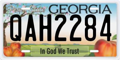 GA license plate QAH2284