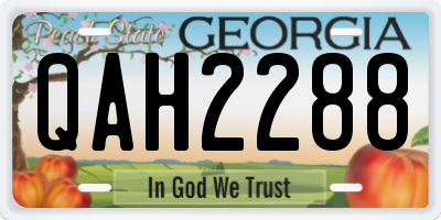 GA license plate QAH2288
