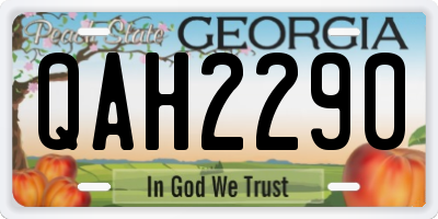 GA license plate QAH2290