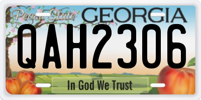 GA license plate QAH2306